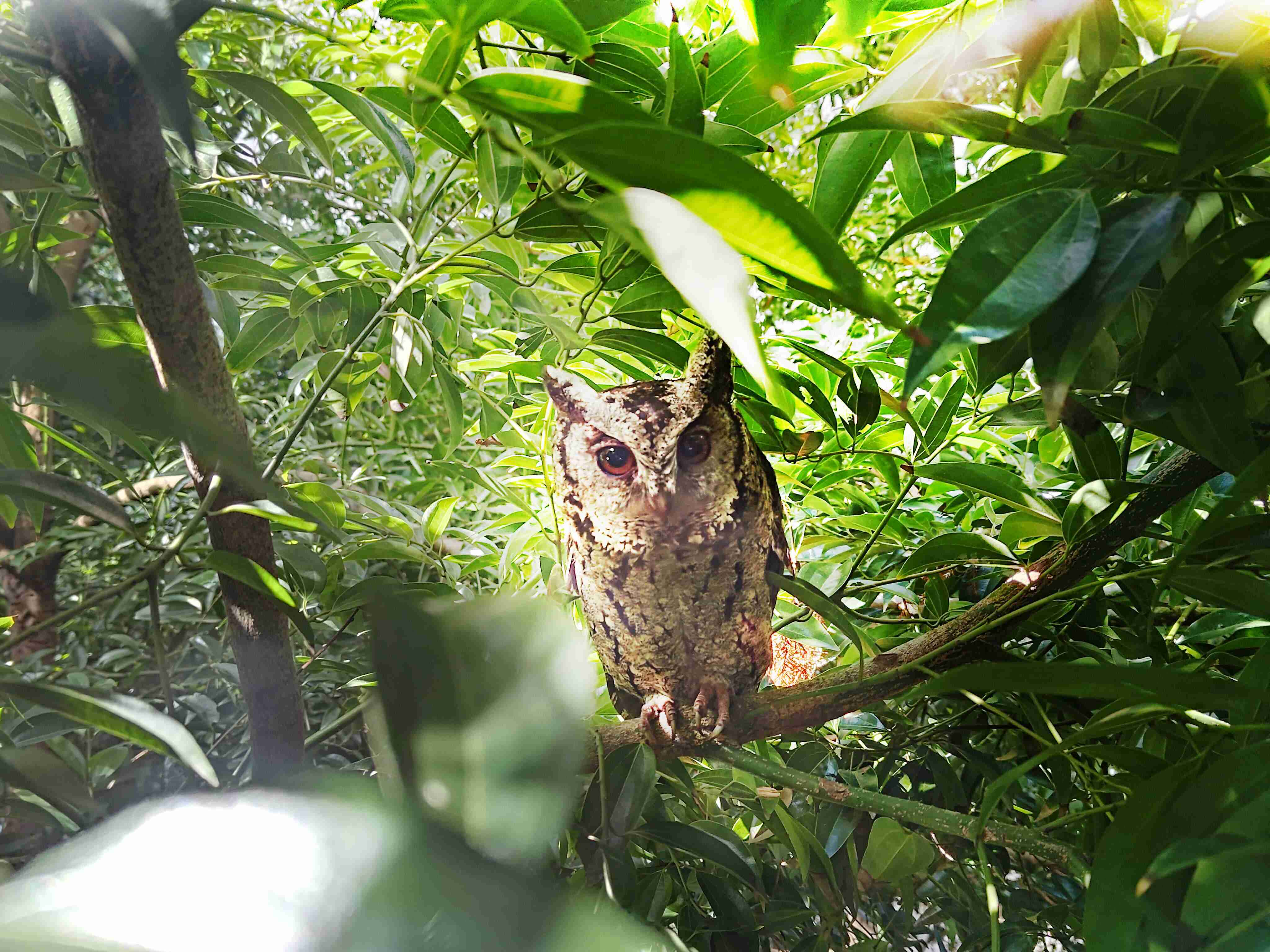 NG大舞台致力提倡净零绿生活，，，，16年以来在全球各厂区植树逾百万棵，，，，造就各厂区树木蔚然成林，，，犹如森林工厂，，，，成为许多生物的栖息地